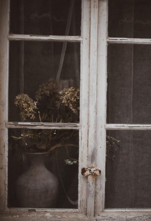 Gwénaël Courtin Photographe -Nature morte